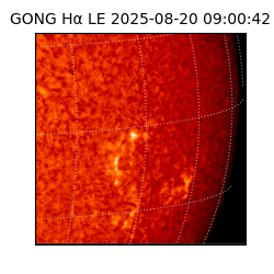 gong - 2025-08-20T09:00:42