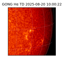 gong - 2025-08-20T10:00:22