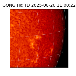 gong - 2025-08-20T11:00:22