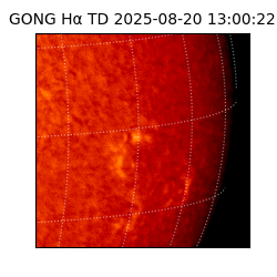 gong - 2025-08-20T13:00:22