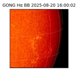 gong - 2025-08-20T16:00:02