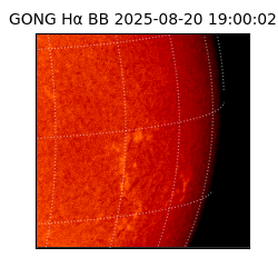gong - 2025-08-20T19:00:02