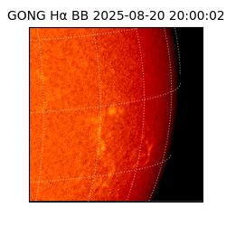 gong - 2025-08-20T20:00:02