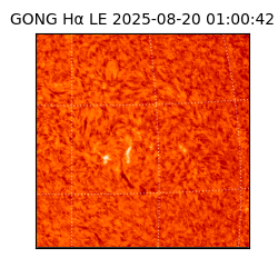 gong - 2025-08-20T01:00:42