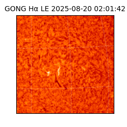 gong - 2025-08-20T02:01:42