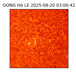 gong - 2025-08-20T03:00:42