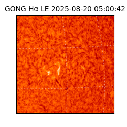 gong - 2025-08-20T05:00:42