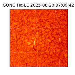 gong - 2025-08-20T07:00:42