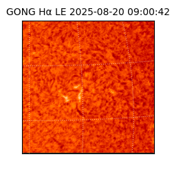 gong - 2025-08-20T09:00:42