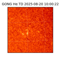 gong - 2025-08-20T10:00:22