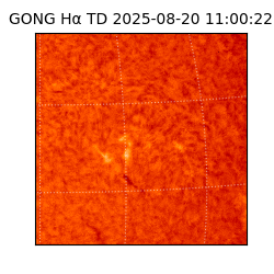 gong - 2025-08-20T11:00:22