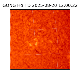 gong - 2025-08-20T12:00:22