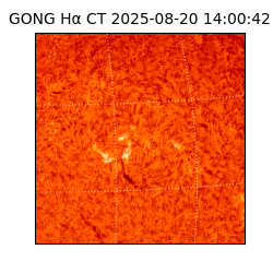 gong - 2025-08-20T14:00:42