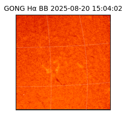 gong - 2025-08-20T15:04:02
