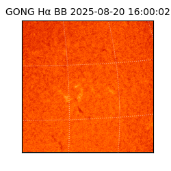 gong - 2025-08-20T16:00:02
