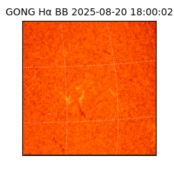 gong - 2025-08-20T18:00:02