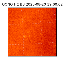 gong - 2025-08-20T19:00:02