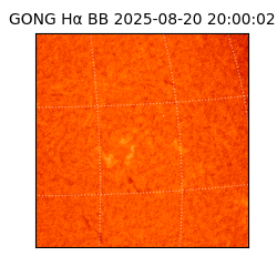 gong - 2025-08-20T20:00:02