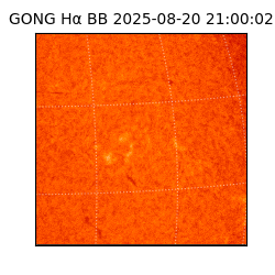 gong - 2025-08-20T21:00:02