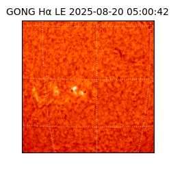 gong - 2025-08-20T05:00:42