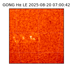 gong - 2025-08-20T07:00:42