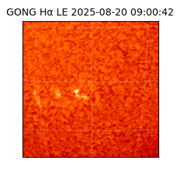 gong - 2025-08-20T09:00:42