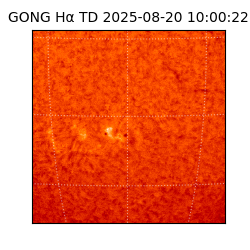 gong - 2025-08-20T10:00:22