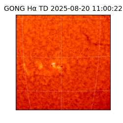 gong - 2025-08-20T11:00:22