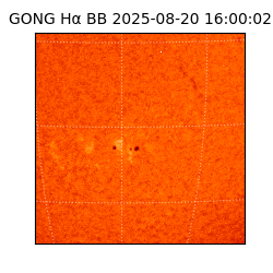 gong - 2025-08-20T16:00:02