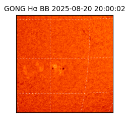 gong - 2025-08-20T20:00:02