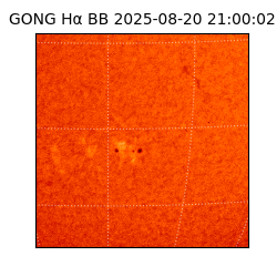 gong - 2025-08-20T21:00:02