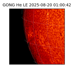 gong - 2025-08-20T01:00:42