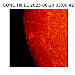 gong - 2025-08-20T03:00:42