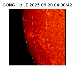 gong - 2025-08-20T04:00:42