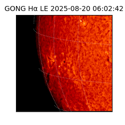 gong - 2025-08-20T06:02:42