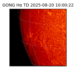 gong - 2025-08-20T10:00:22