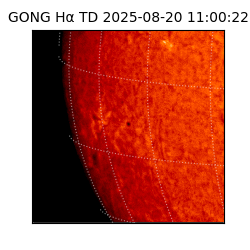 gong - 2025-08-20T11:00:22