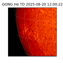gong - 2025-08-20T12:00:22