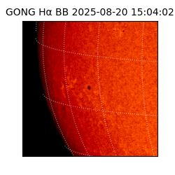 gong - 2025-08-20T15:04:02