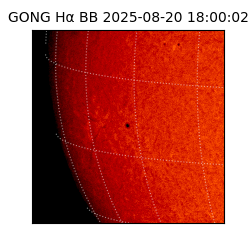 gong - 2025-08-20T18:00:02