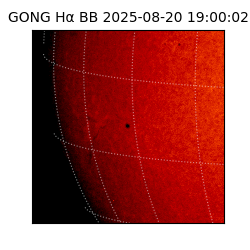 gong - 2025-08-20T19:00:02