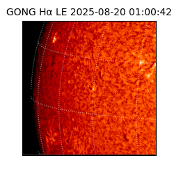 gong - 2025-08-20T01:00:42