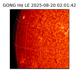 gong - 2025-08-20T02:01:42