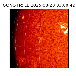 gong - 2025-08-20T03:00:42