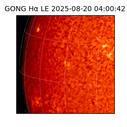 gong - 2025-08-20T04:00:42