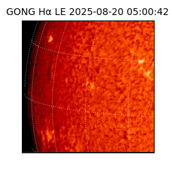 gong - 2025-08-20T05:00:42