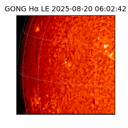 gong - 2025-08-20T06:02:42