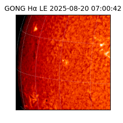 gong - 2025-08-20T07:00:42