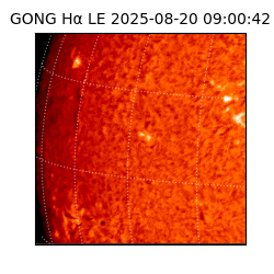 gong - 2025-08-20T09:00:42