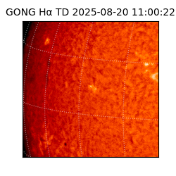 gong - 2025-08-20T11:00:22